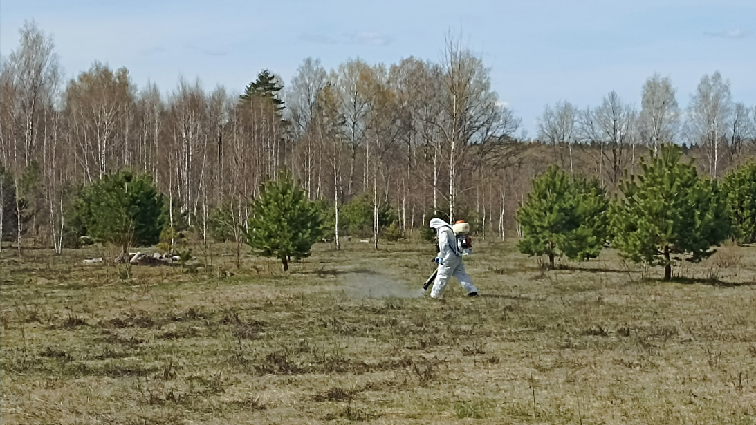 Клещи капитулировали